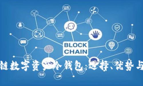 详解区块链数字资产冷钱包：选择、优势与安全策略