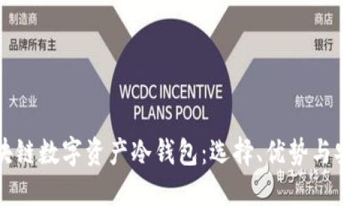 详解区块链数字资产冷钱包：选择、优势与安全策略