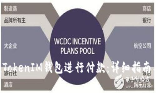 如何使用TokenTokenIM钱包进行付款：详细指南与常见问题解答