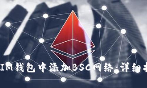 如何在TokenTokenIM钱包中添加BSC网络：详细指南与常见问题解答