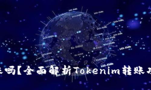 Tokenim还能转账吗？全面解析Tokenim转账功能及其未来发展