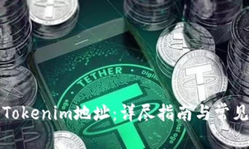 如何查询Tokenim地址：详尽指南与常见问题解答