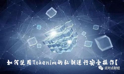 如何使用Tokenim的私钥进行安全操作？