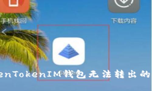 解决TokenTokenIM钱包无法转出的完整指南