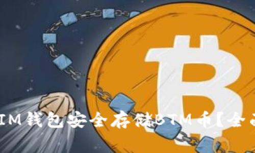 如何使用TokenTokenIM钱包安全存储BTM币？全面指南与常见问题解答
