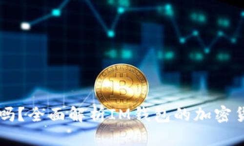 IM钱包可以存比特币吗？全面解析IM钱包的加密货币支持与存储安全性