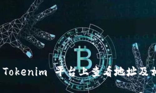如何在 Tokenim 平台上查看地址及相关信息